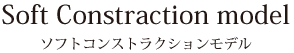 ソフトコンストラクションモデル