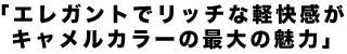 エレガントでリッチな軽快感がキャメルカラーの最大の魅力 