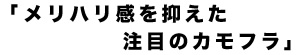 メリハリ感を抑えた 注目のカモフラ 