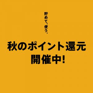 【秋の新作】ONLYmozoワンダーシティー店